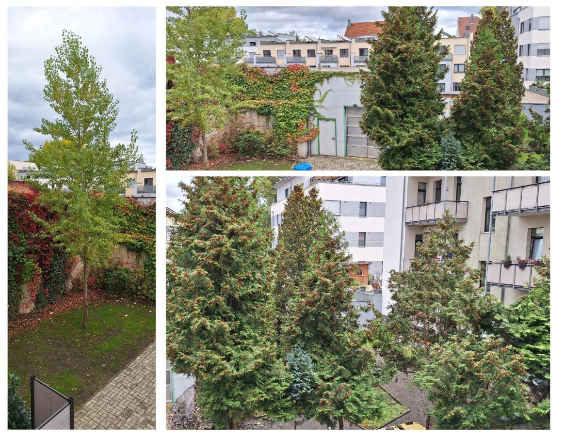Modernes Einraumzimmer Mit Eigenem Bad, Balkonnutzung, Zentrumsnah - In 10 Minuten Mit Dem Rad Oder Dem Oepnv Zur Arena Und In Leipzigs Innenstadt Екстер'єр фото